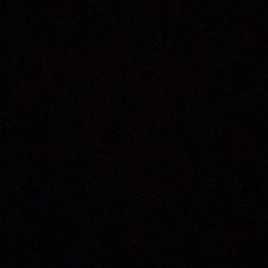 Meet your Posher, Wren